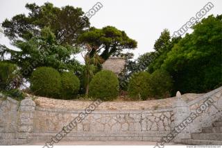 Photo Texture of Background Garden 0001